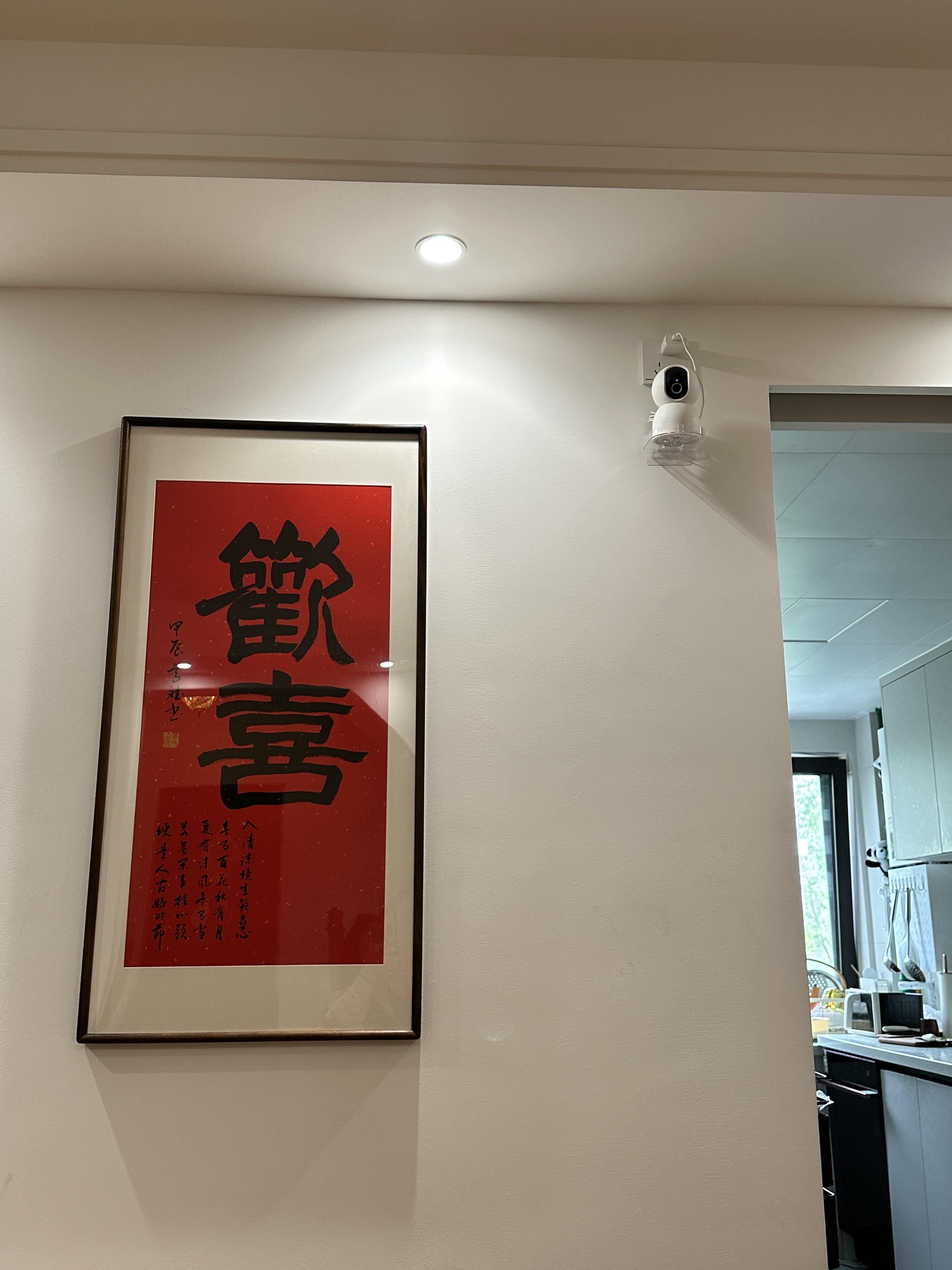 龙8国际留意！你的智能家居装备能够正在偷听