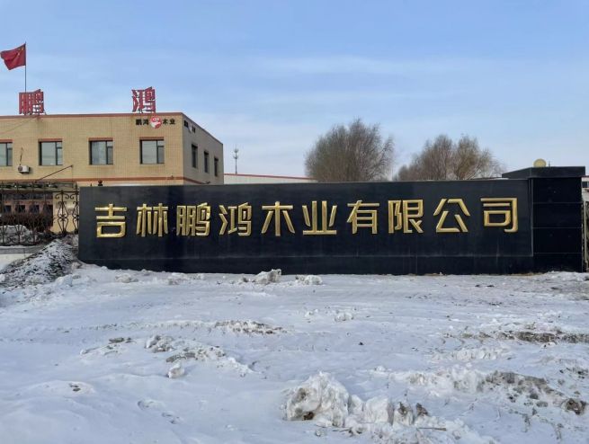 龙8唯一行业聚焦！2025全屋定制十大品牌榜单公布头部品牌加快扩大